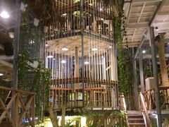 -Rainforest