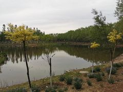 -东郊湿地公园