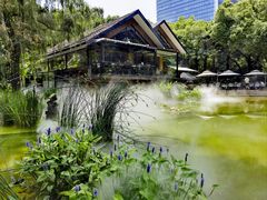 -静安公园(静安寺街道)