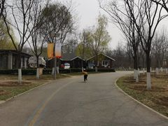 -永定河休闲森林公园