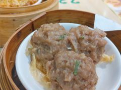 陈皮牛肉球-添好运点心专门店(北角店)