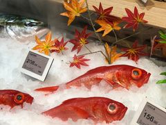 -T11生鲜超市(朝阳公园店)