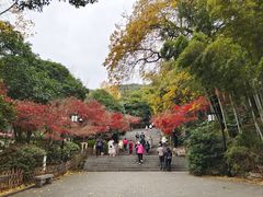-岳麓山风景名胜区