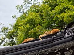 -西园寺素食(西园弄戒幢律寺店)