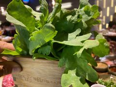 -盡膳口福跷脚牛肉火锅(合生汇购物中心店)