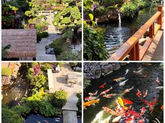 -聚福宝合苑食府(南头镇店)