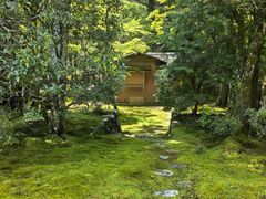 -西芳寺(苔寺)