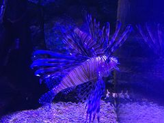 -皇家极地海洋世界-售票处