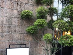-金鱼妈妈 山野·食趣(荫山街店)