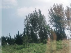 -威海大乳山景区