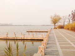 -九里湖国家湿地公园