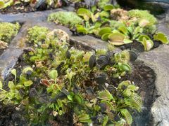 -国家植物园南园