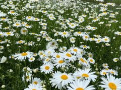 -四里河滨水生态公园