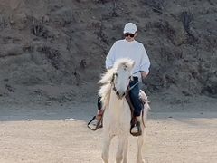 -丹世红酒庄·烧烤·团建·婚礼·水上运动