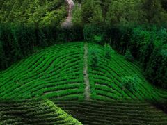-瓦屋山景区