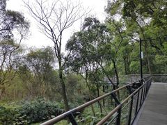 -广州市白云山风景名胜区