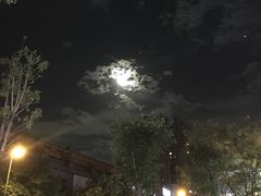 -同来顺烧烤餐厅(哈尔滨道店)