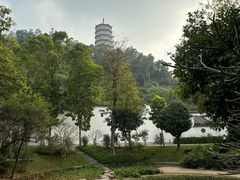 -深圳国际园林花卉博览园