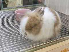 -光明广场