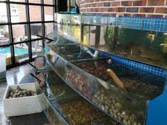 -蟹谢蒸鲜自助餐厅