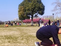 -长广溪湿地公园