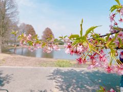 -上海辰山植物园