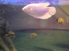 -常州海昌海洋探索馆