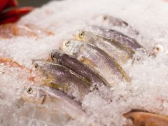 极品小黄鱼-城市名人酒店喝彩西餐厅(人民南路店)