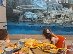 -帝企鹅自助餐厅•儿童岛•真企鹅(长隆企鹅酒店)