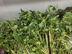 -桐庐窄溪野鱼馆