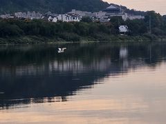 -渔梁坝