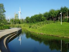 景点-长白岛森林公园