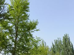 -燕郊植物园