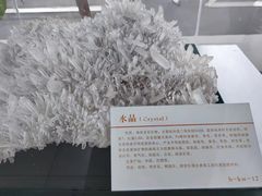 -中国第四纪冰川遗迹陈列馆