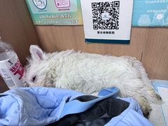 -联合动物医院(光谷诊疗中心)