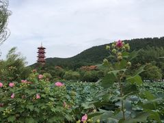 -云龙湖旅游景区