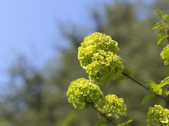 -洛阳市隋唐城遗址植物园