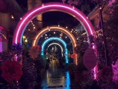 -The Grounds of Alexandria
