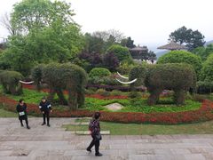 -铁山坪森林公园