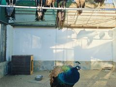 -北京市海淀外国语实验学校