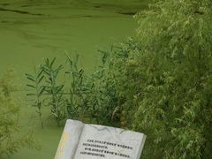 -青山湖景区