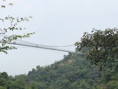-南丹山森林王国