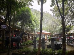 -土砂锅生态山庄·非遗砂锅雅鱼