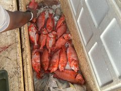 -尼甘布海鲜市场