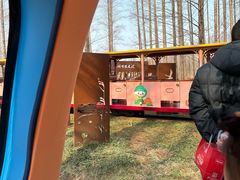 -黄海国家森林公园