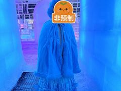 -海合安成都极地海洋公园