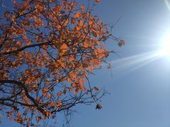 -鬼笑石后山停车场