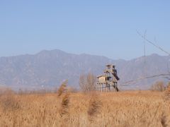 -野鸭湖国家湿地公园