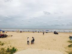 -日照海滨国家森林公园