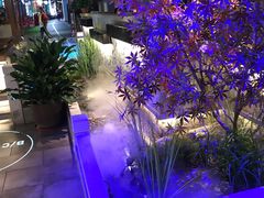 大堂-首秀·四川料理(星耀101店)